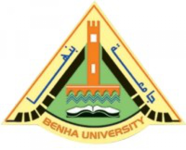 Benha University invites the President to sponsor its Talk with the Youth