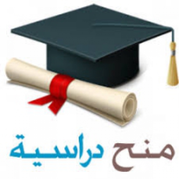 Finland&#039;s scholarship for the students in the Egyptian Universities