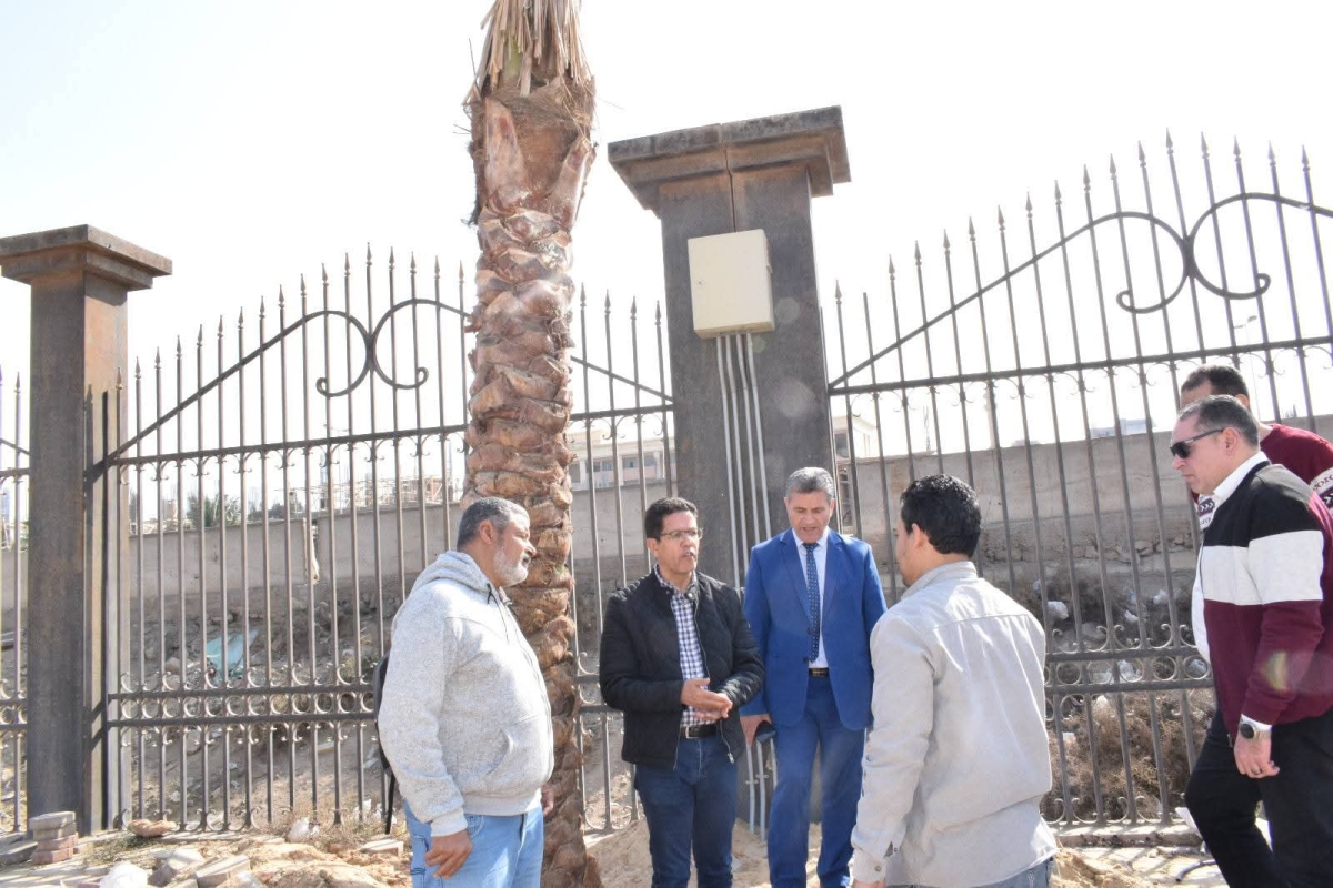 President of Benha University Inspected Date Palm Planting at the Colleges of Law and Sports Science and Several Facilities in Kafr Saad